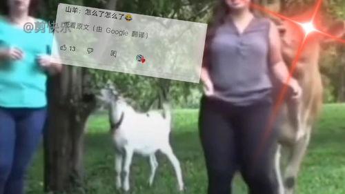 搞笑爆料网友视频大全,笑料百出！网友搞笑爆料视频大盘点  第3张